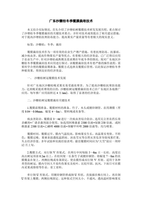 广东沙糖桔冬季覆膜栽培技术