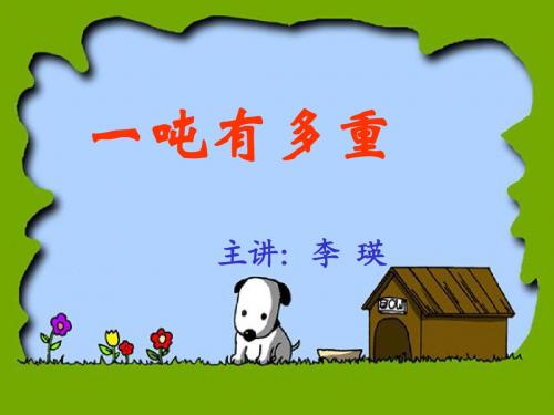 吨有多重