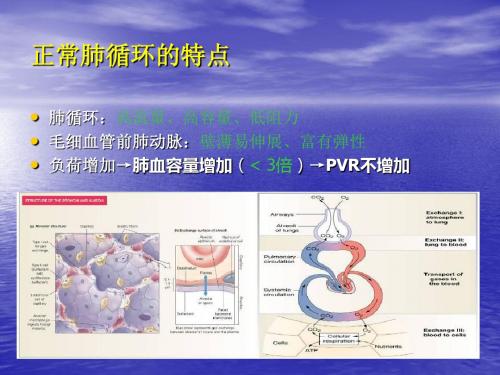 围手术期肺动脉高压治疗进展