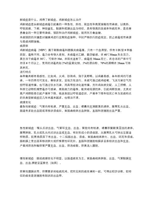 新城疫是什么,鸡得了新城疫,鸡新城疫怎么治疗