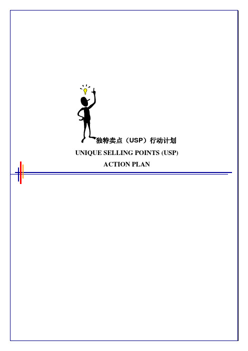 毕博-管理咨询工具方法—3.5USPActionPlan-Chinese