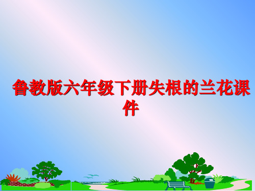 最新鲁教版六年级下册失根的兰花课件
