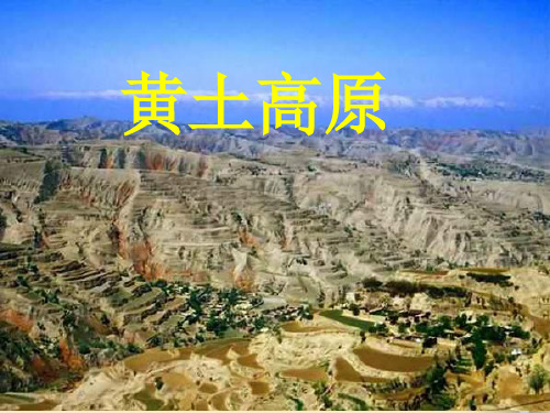 八年级地理上册黄土高原课件人教新课标版