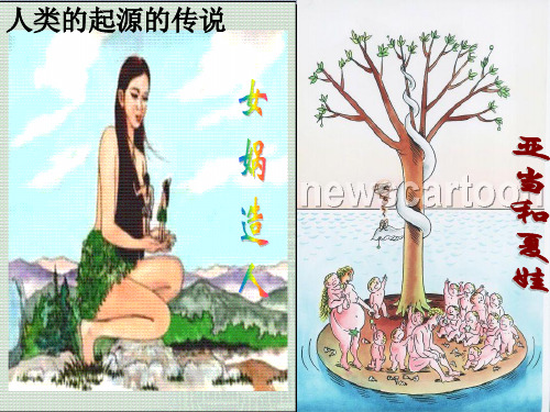 第1、2课  中国早期人类的代表——北京人、原始农耕生活(部编版)