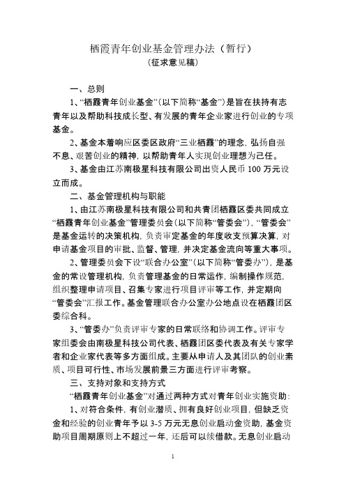 南京青年创业基金管理办法