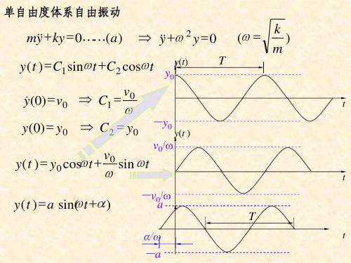 10山东建筑大学结构力学动力学2