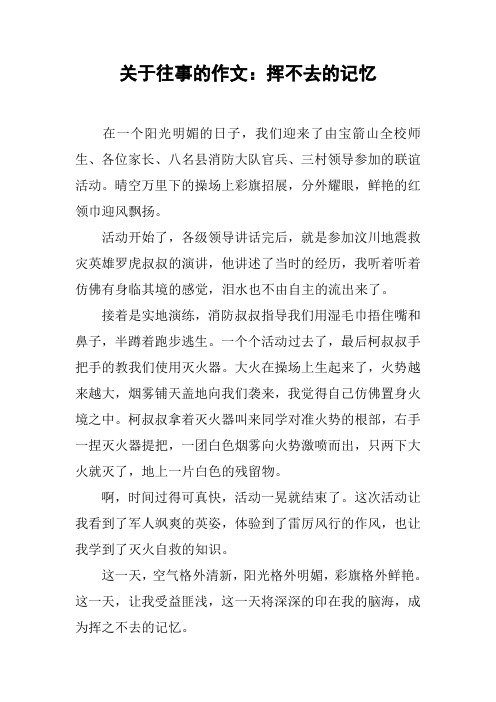 关于往事的作文：挥不去的记忆