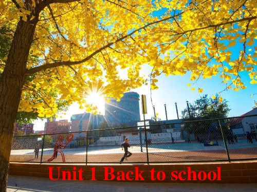 译林牛津新教材必修一unit 1 Integrated skills 1