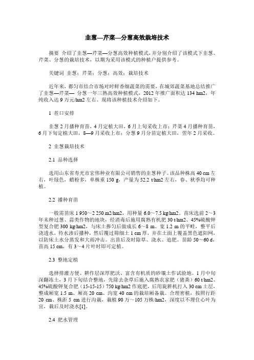 韭葱—芹菜—分葱高效栽培技术