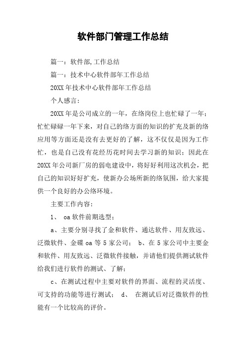 软件部门管理工作总结