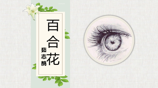 高中语文百合花公开课PPT课件