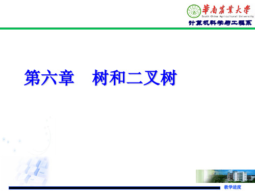 数据结构-树与二叉树精品文档