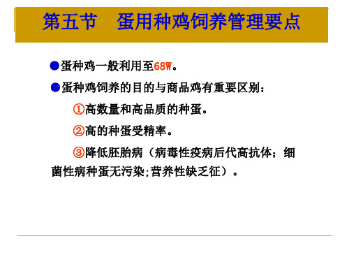 (禽生产学课件)第五节蛋鸡--蛋种鸡