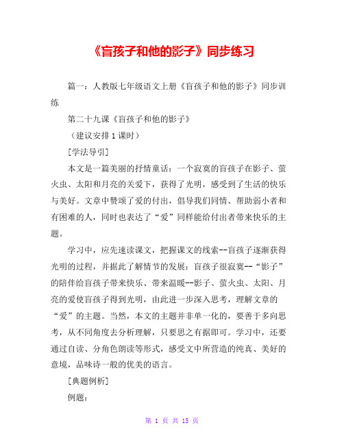《盲孩子和他的影子》同步练习