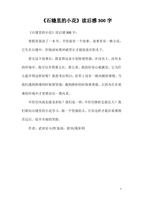 《石缝里的小花》读后感300字