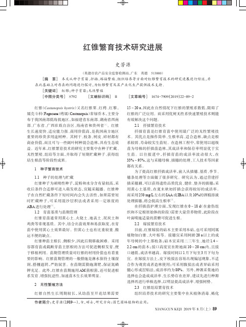 红锥繁育技术研究进展