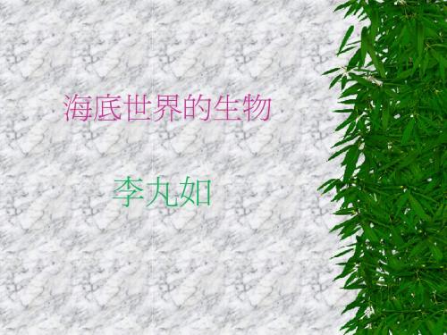 海底世界的生物
