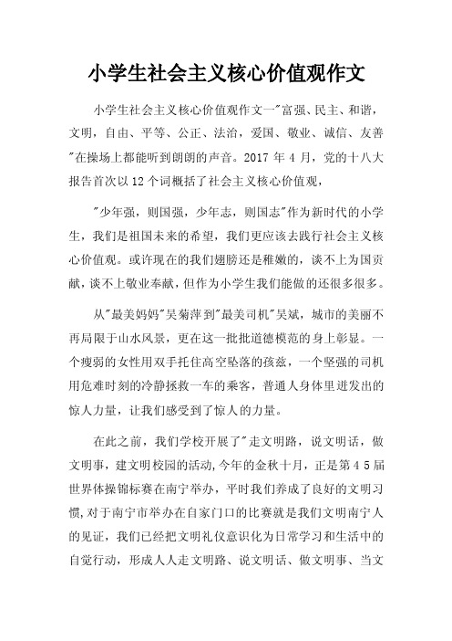 小学生社会主义核心价值观作文