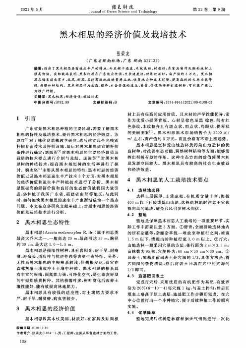 黑木相思的经济价值及栽培技术