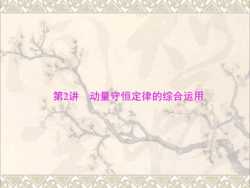 南方新高考2019年高考物理一轮总复习专题十三第2讲动量守恒定律的综合运用课件新人教版