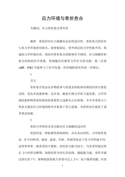 应力环境与骨折愈合