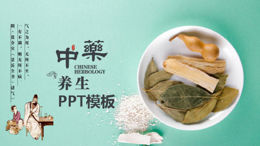 中药中医文化PPT模板