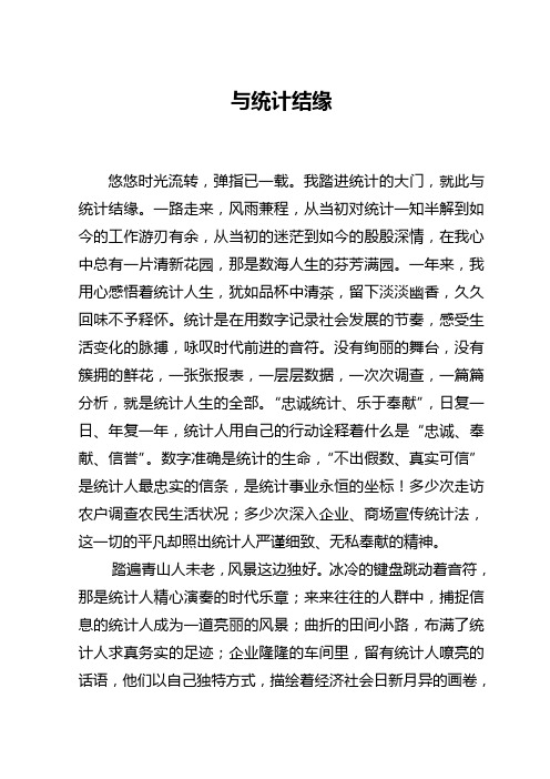 统计征文