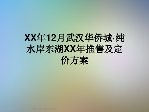 XX年12月武汉华侨城·纯水岸东湖XX年推售及定价方案