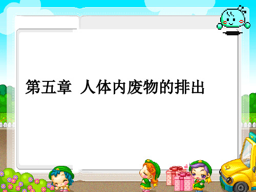 人教版七年级生物下第四单元 5.1第一节尿的形成和排出课件(共21张PPT)