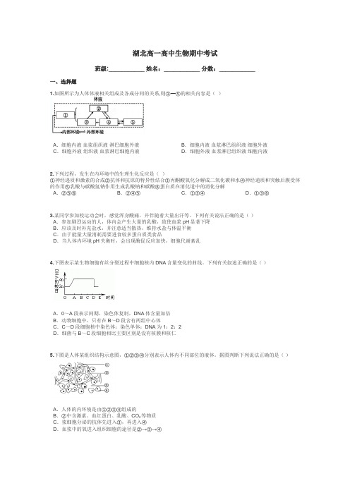 湖北高一高中生物期中考试带答案解析

