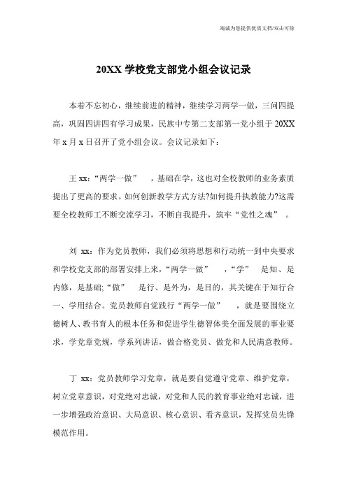 20XX学校党支部党小组会议记录
