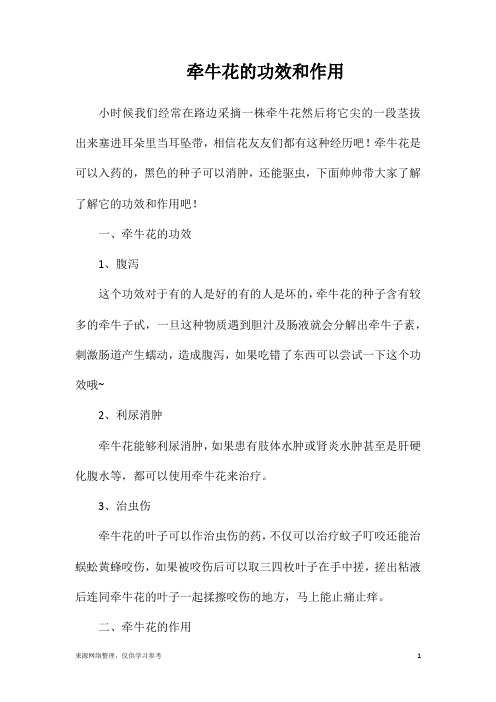 牵牛花的功效和作用