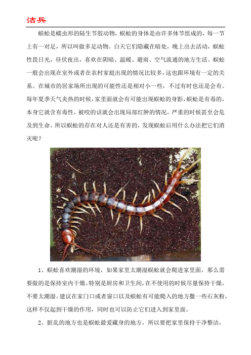 蜈蚣有什么办法消灭