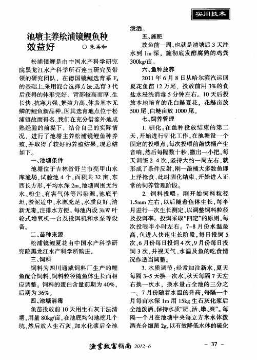 池塘主养松浦镜鲤鱼种效益好
