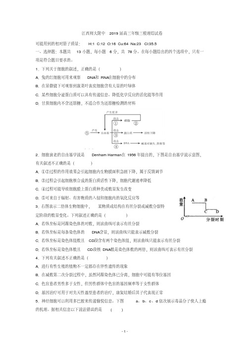 江西师范大学附属中学2019届高三三模理科综合试题