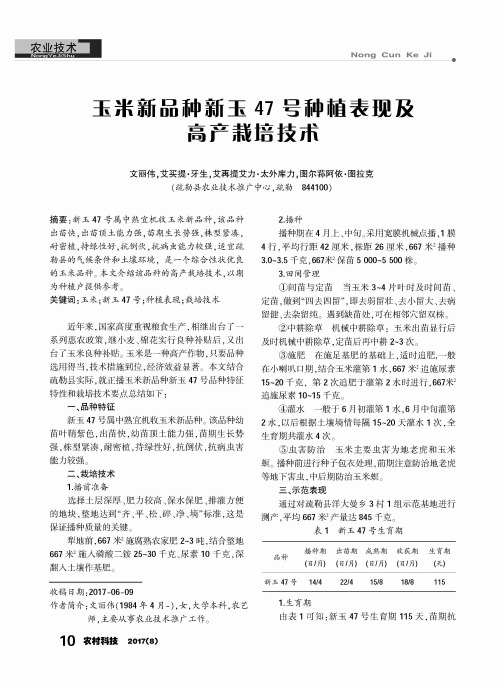 玉米新品种新玉47号种植表现及高产栽培技术