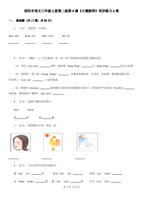 邵阳市语文三年级上册第二组第6课《小摄影师》同步练习A卷