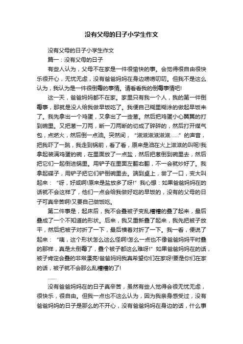 没有父母的日子小学生作文