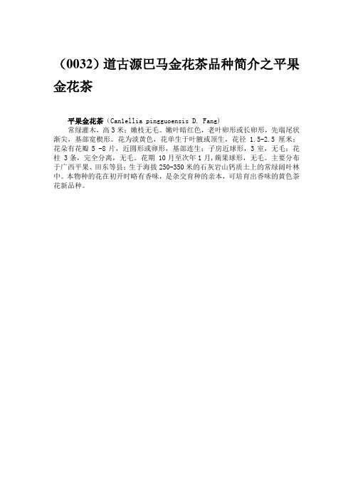 道古源巴马金花茶品种简介之平果金花茶