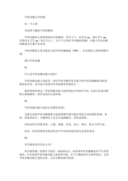 什么是甲状旁腺功能亢进症？_8