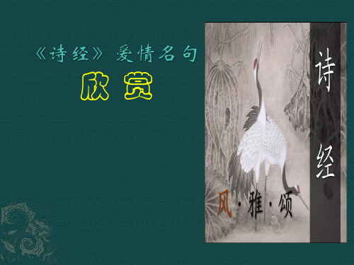 《诗经》爱情名句欣赏 课件