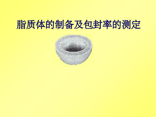 实验10脂质体的制备