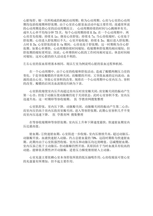 心动周期