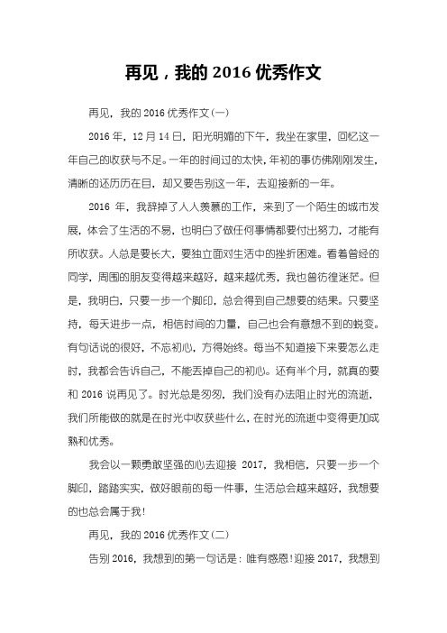 再见,我的2016优秀作文
