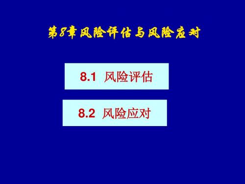 【精编】风险评估与风险应对教材