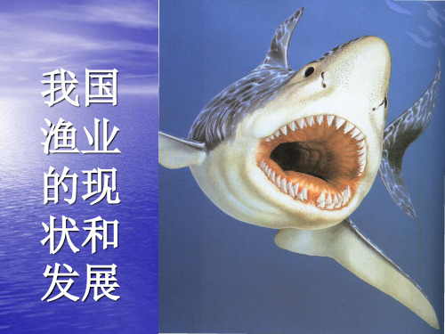 我国渔业的现状和发展