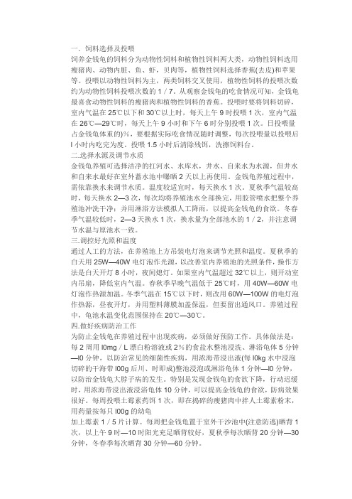 养龟方法