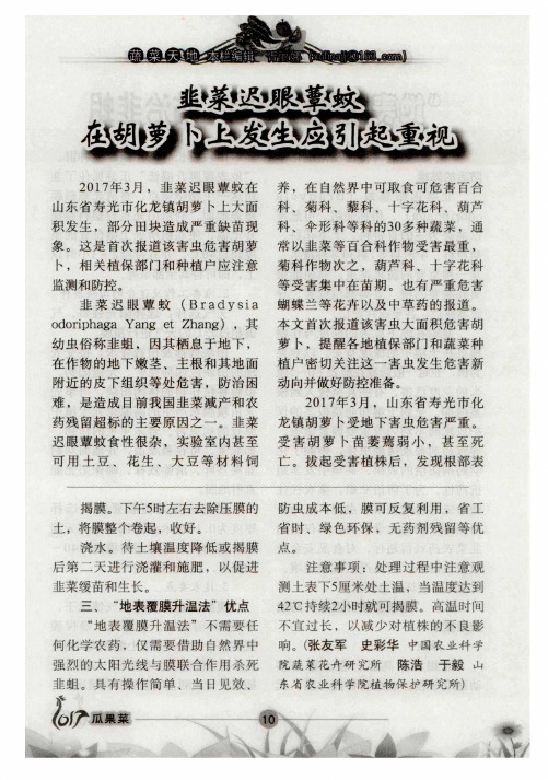 韭菜迟眼蕈蚊在胡萝卜上发生应引起重视