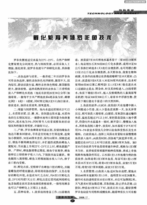 孵化繁育养殖罗非鱼技术