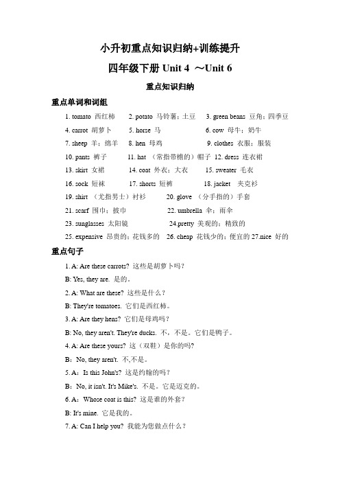 人教PEP小升初课本重点知识归纳+训练提升-四年级下册  Unit 4~Unit 6(含答案)